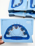 Blue Transparent Single-Row Tambourine Plastic Metal Lightweight Beginner